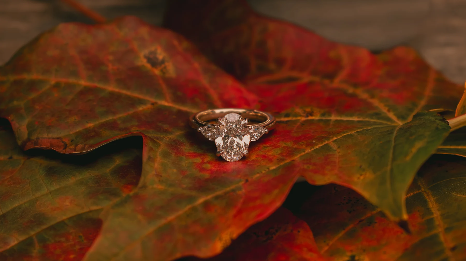 Diamond engagement ring resting on red and green autumn leaves