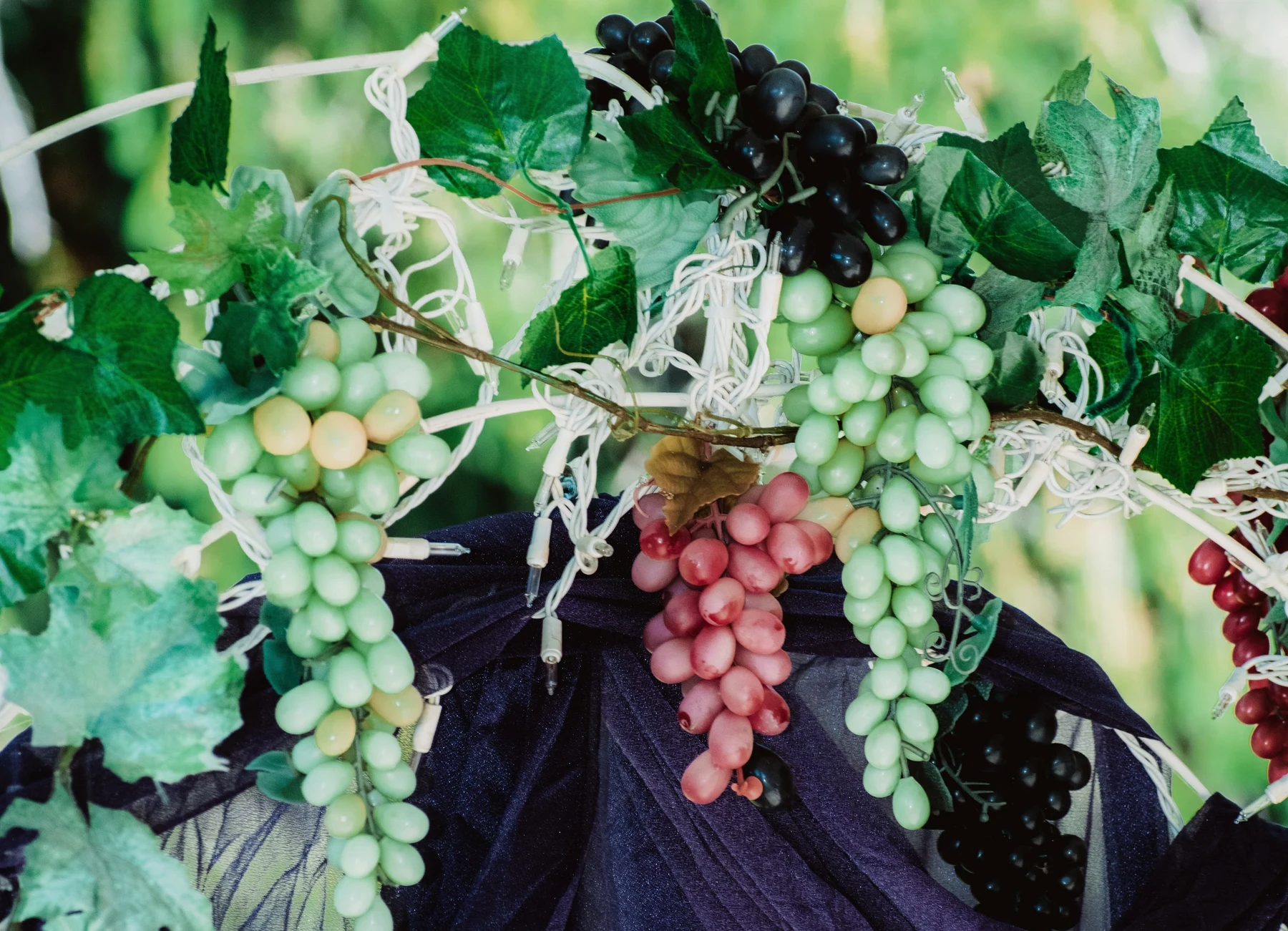 Decorative grape clusters and green leaves above purple ceremony drapery