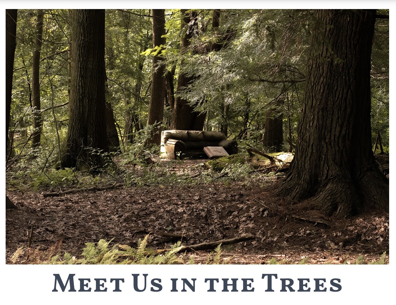 Meet Us in the Trees — featured photograph in Page Turner Magazine, Issue 5