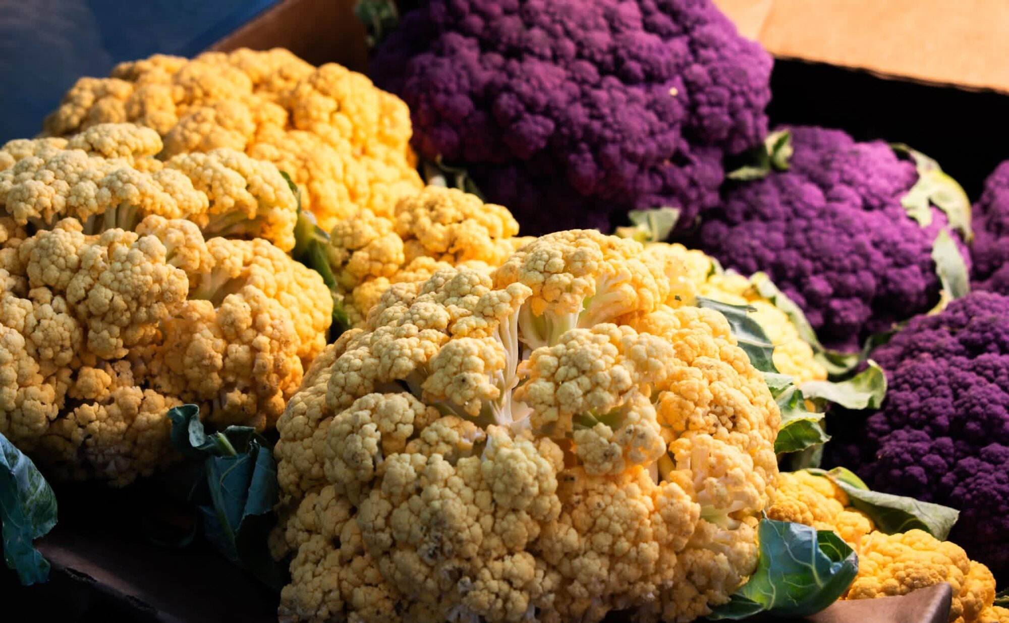 Vivid yellow and purple cauliflower heads in a produce crate