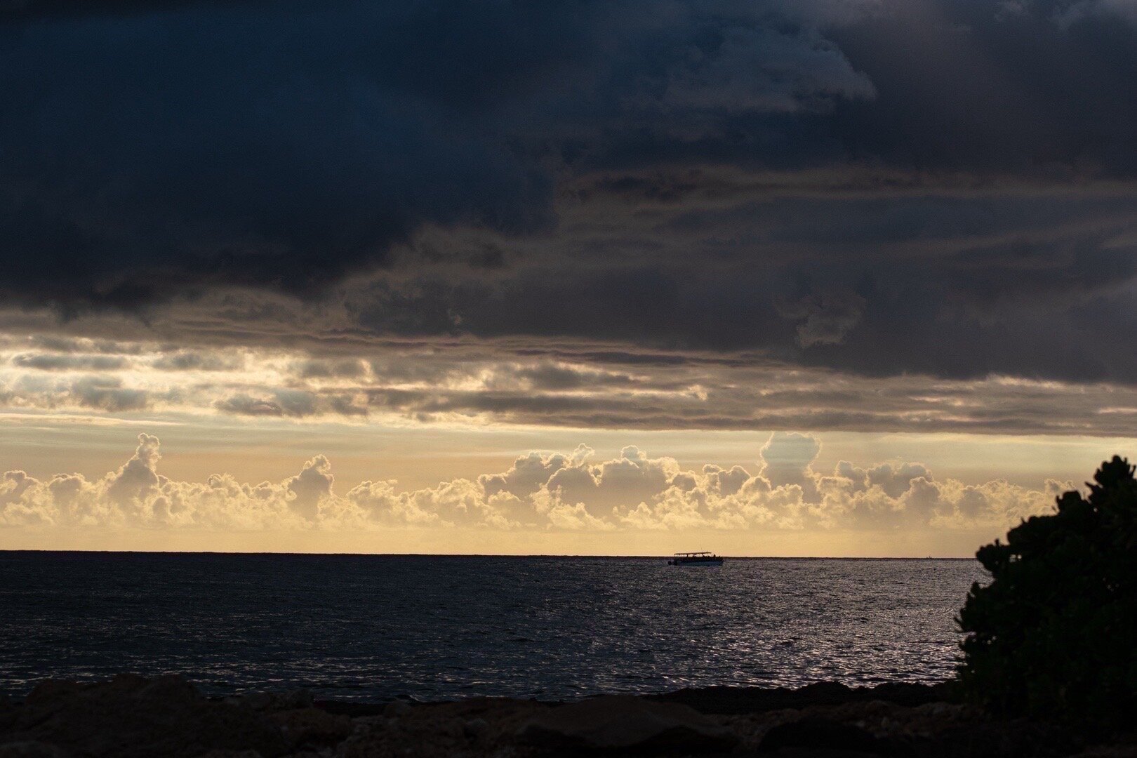 Golden sunset over the ocean horizon framed by dark tropical foliage