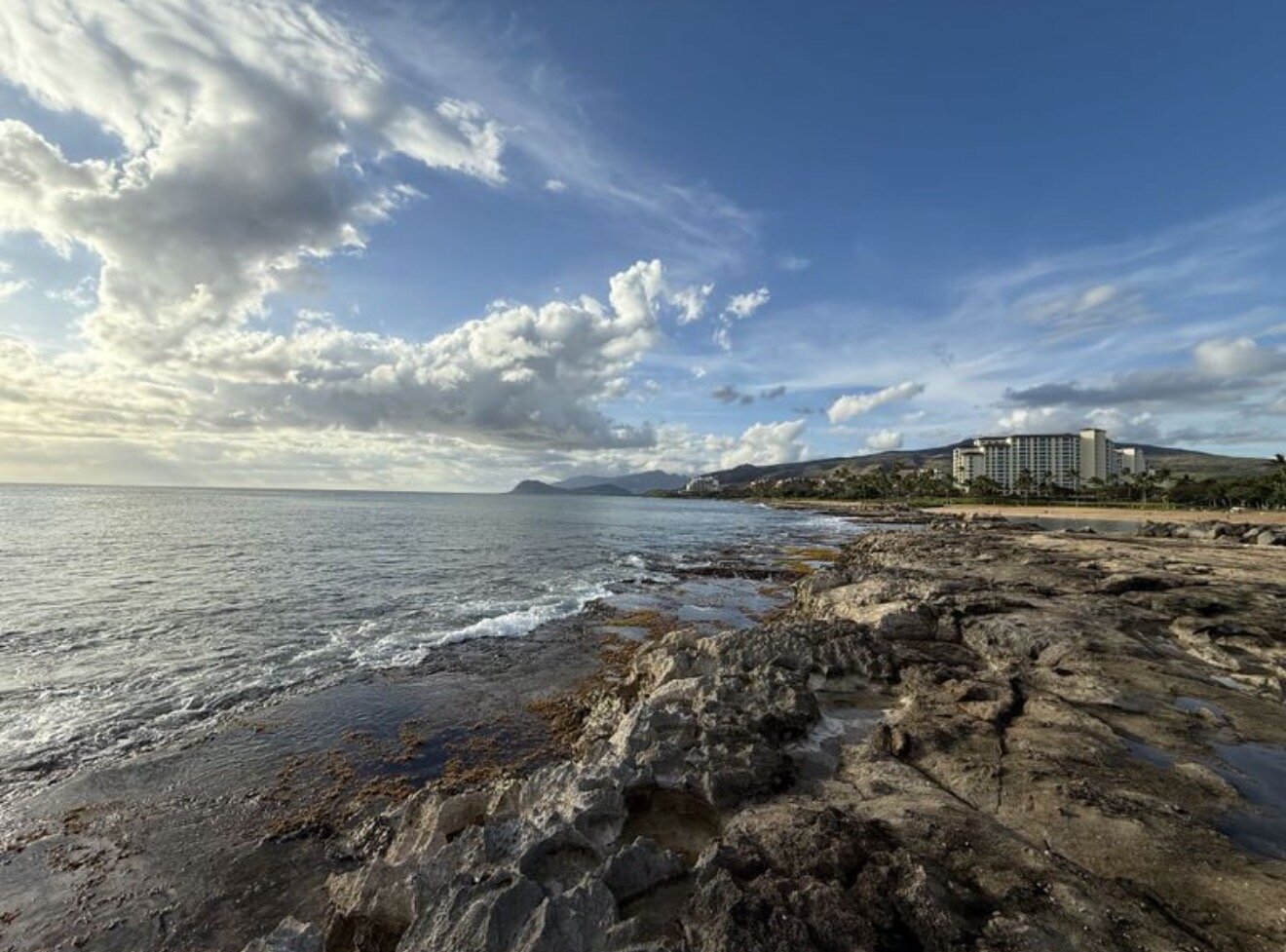 Rocky volcanic shoreline with waves and a distant coastal skyline