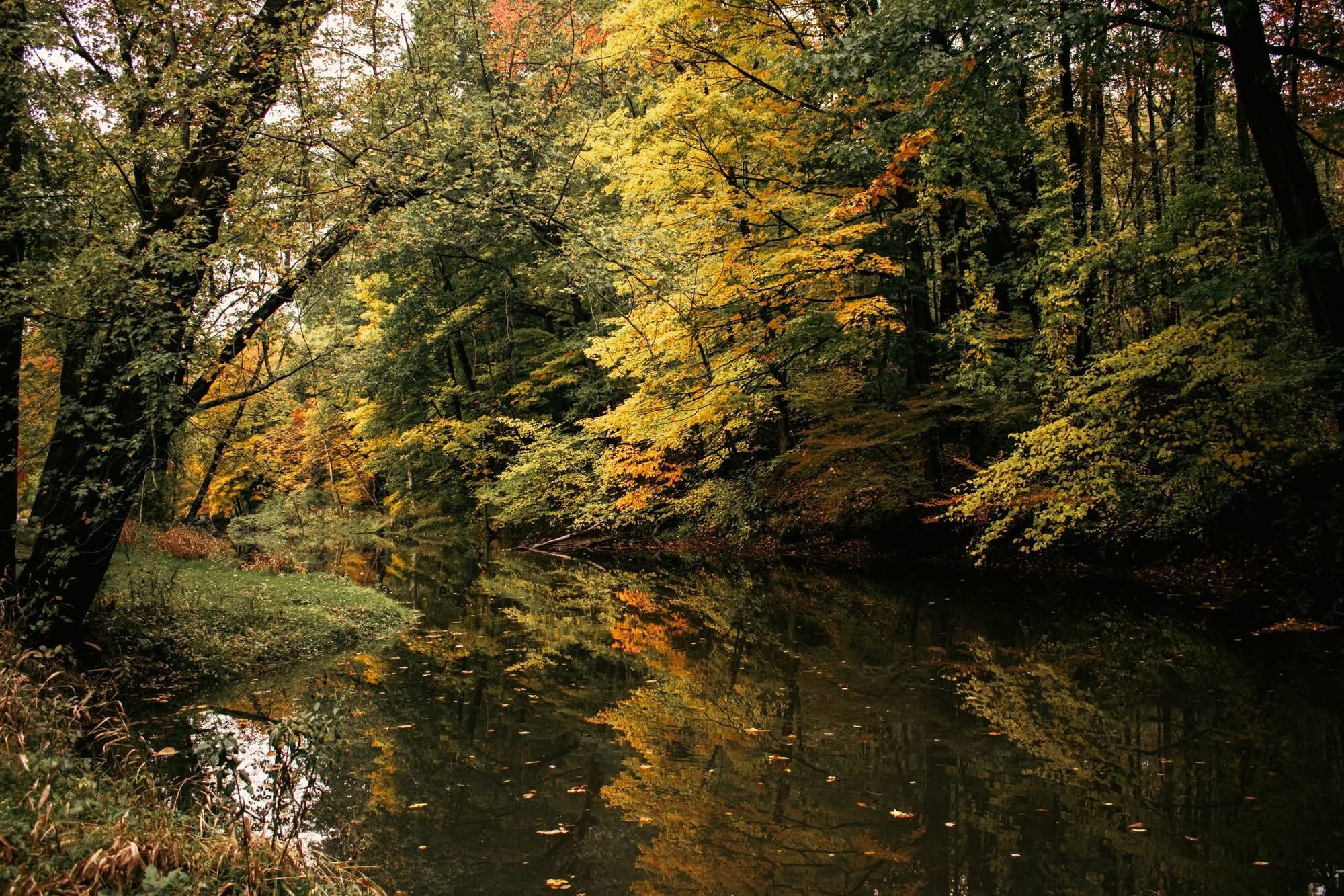 Fine Art Landscape