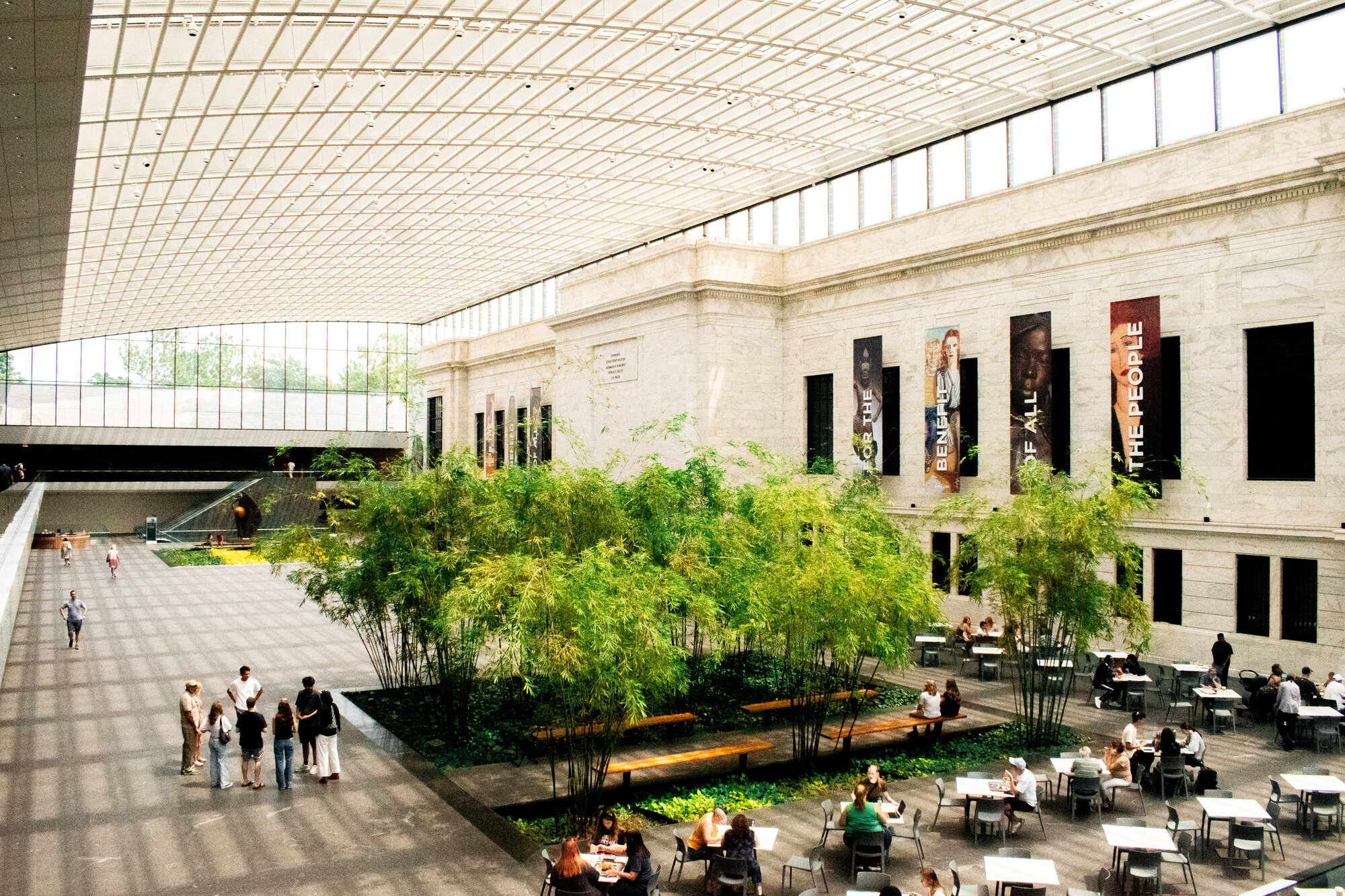Sweeping museum atrium under a curved glass canopy with bamboo garden and cafe seating