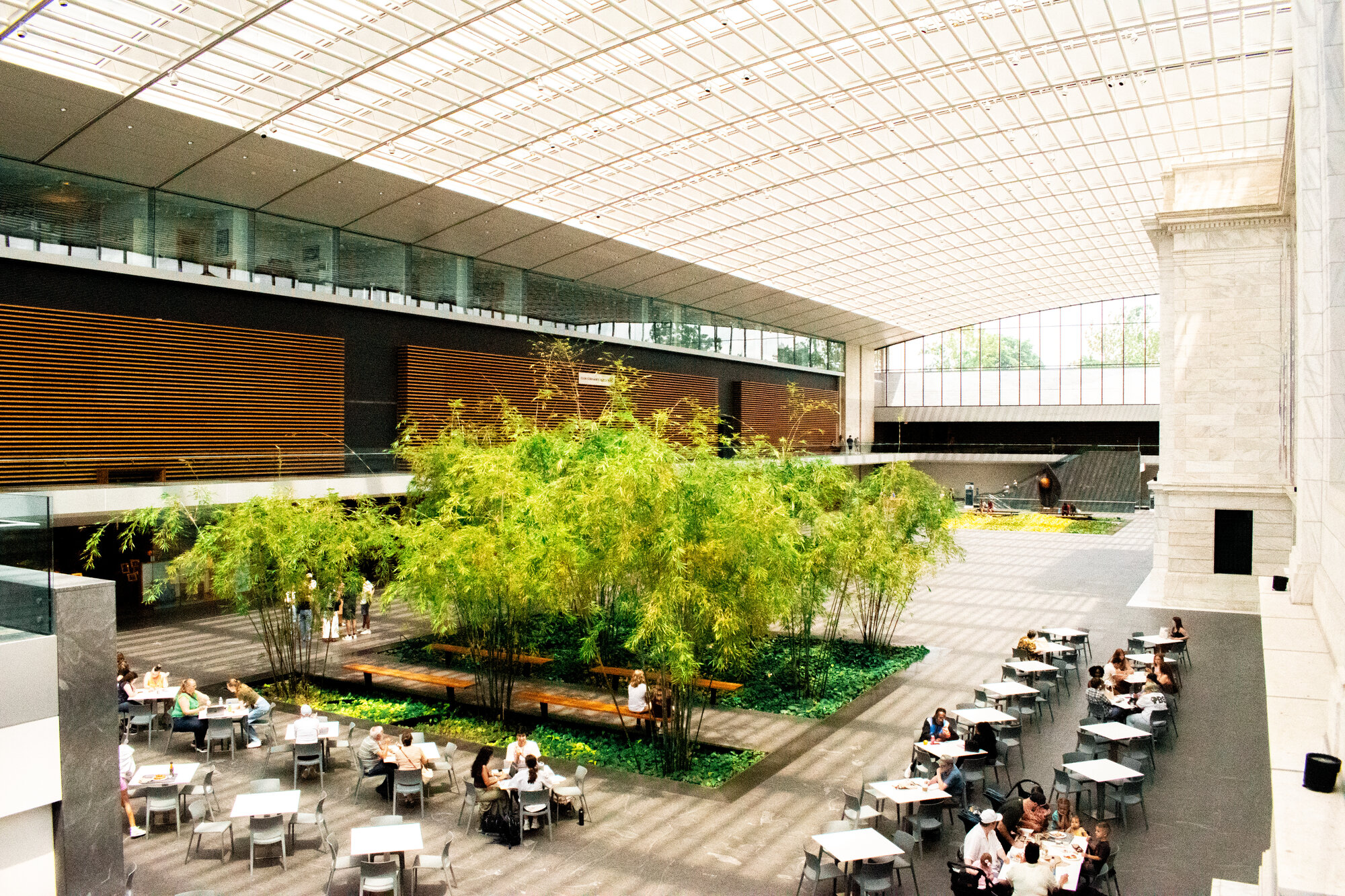 Bamboo grove and benches beneath the latticed glass roof of a museum atrium