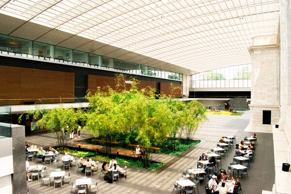 Bamboo grove and benches beneath the latticed glass roof of a museum atrium