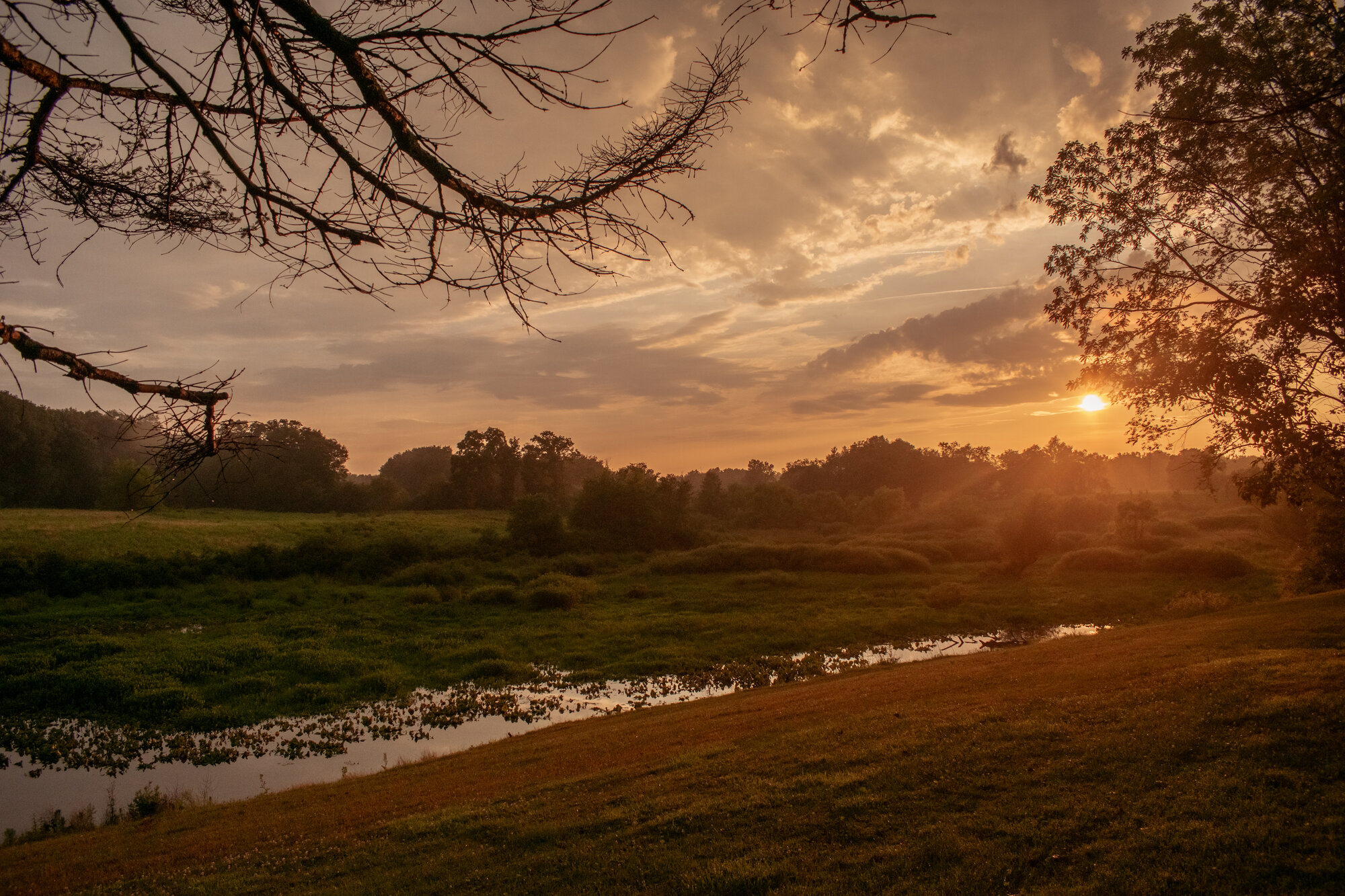Sunset over a marsh landscape framed by bare tree branches