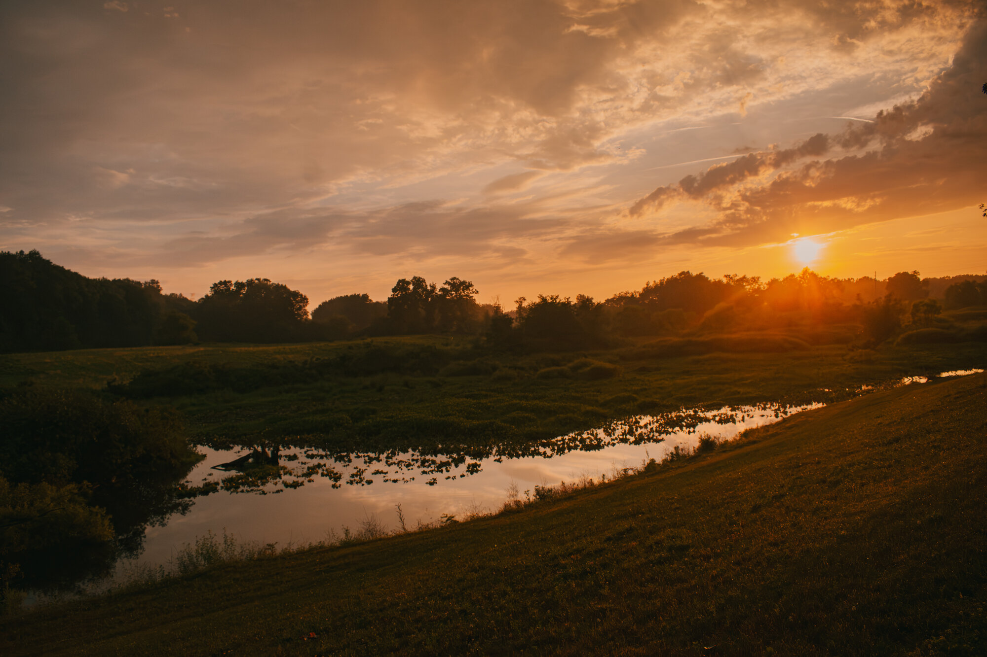 Golden sunset over a wetland creek winding through green marsh meadows