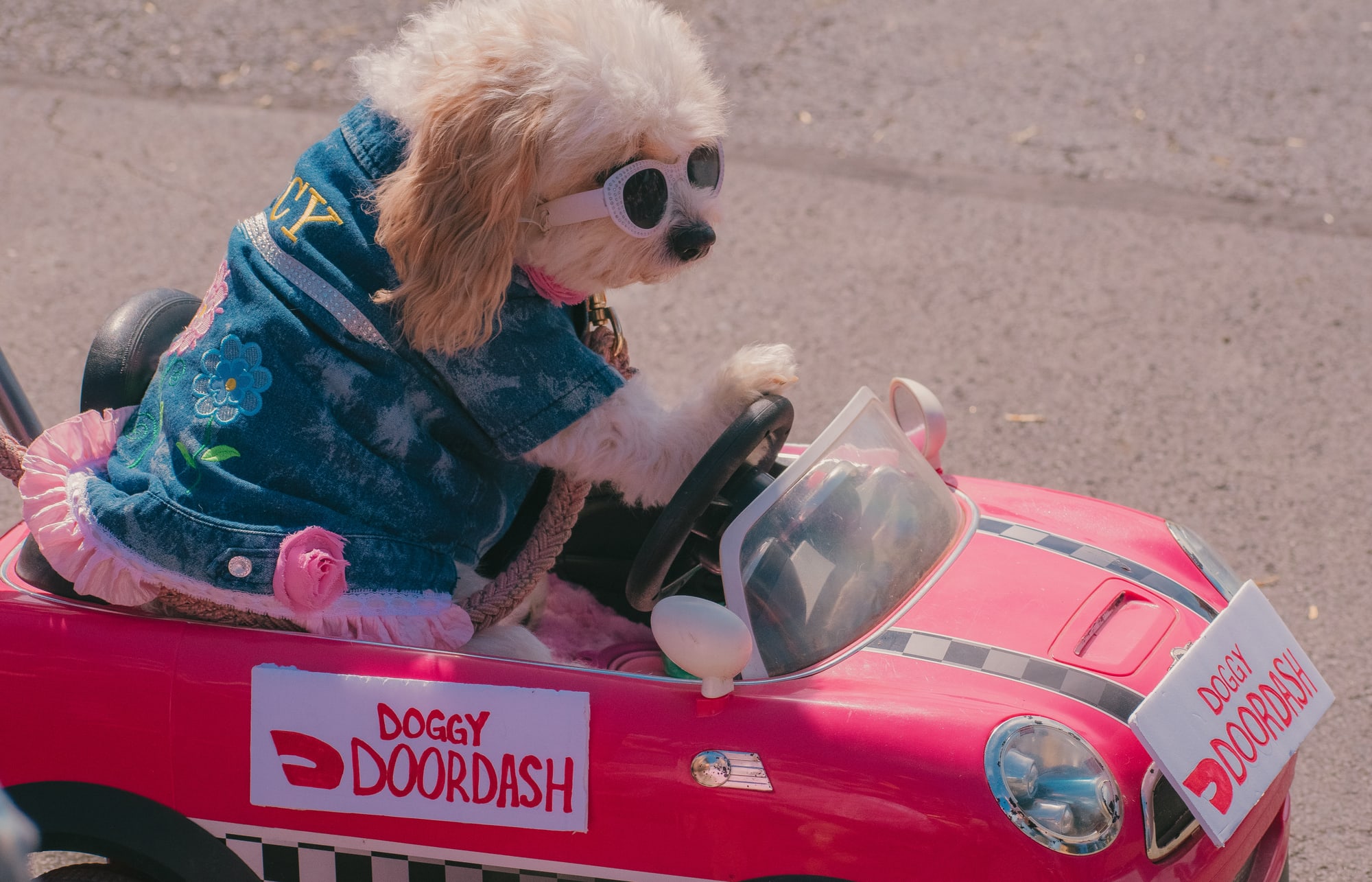 Dog in sunglasses riding a pink toy car at Grove City Agway 2026 Petfest