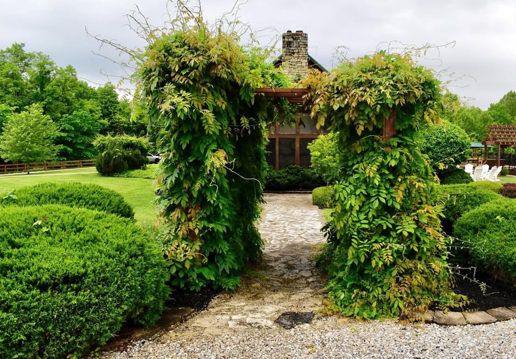 Photography by Anwen Thomas