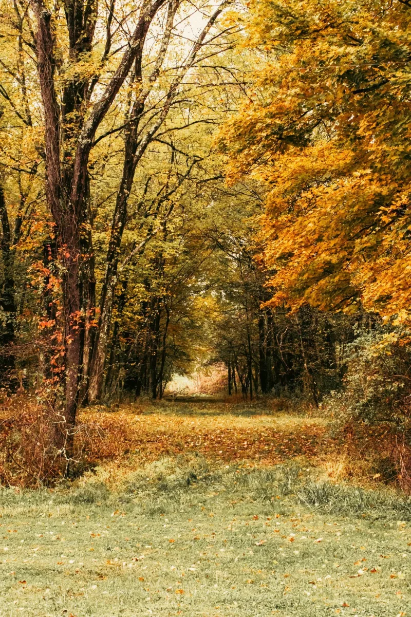 Resilience in the Season of Change
