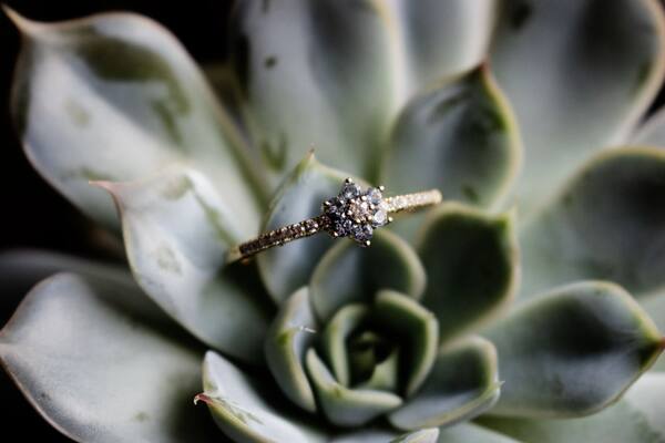 Diamond wedding ring nestled in a pale green succulent