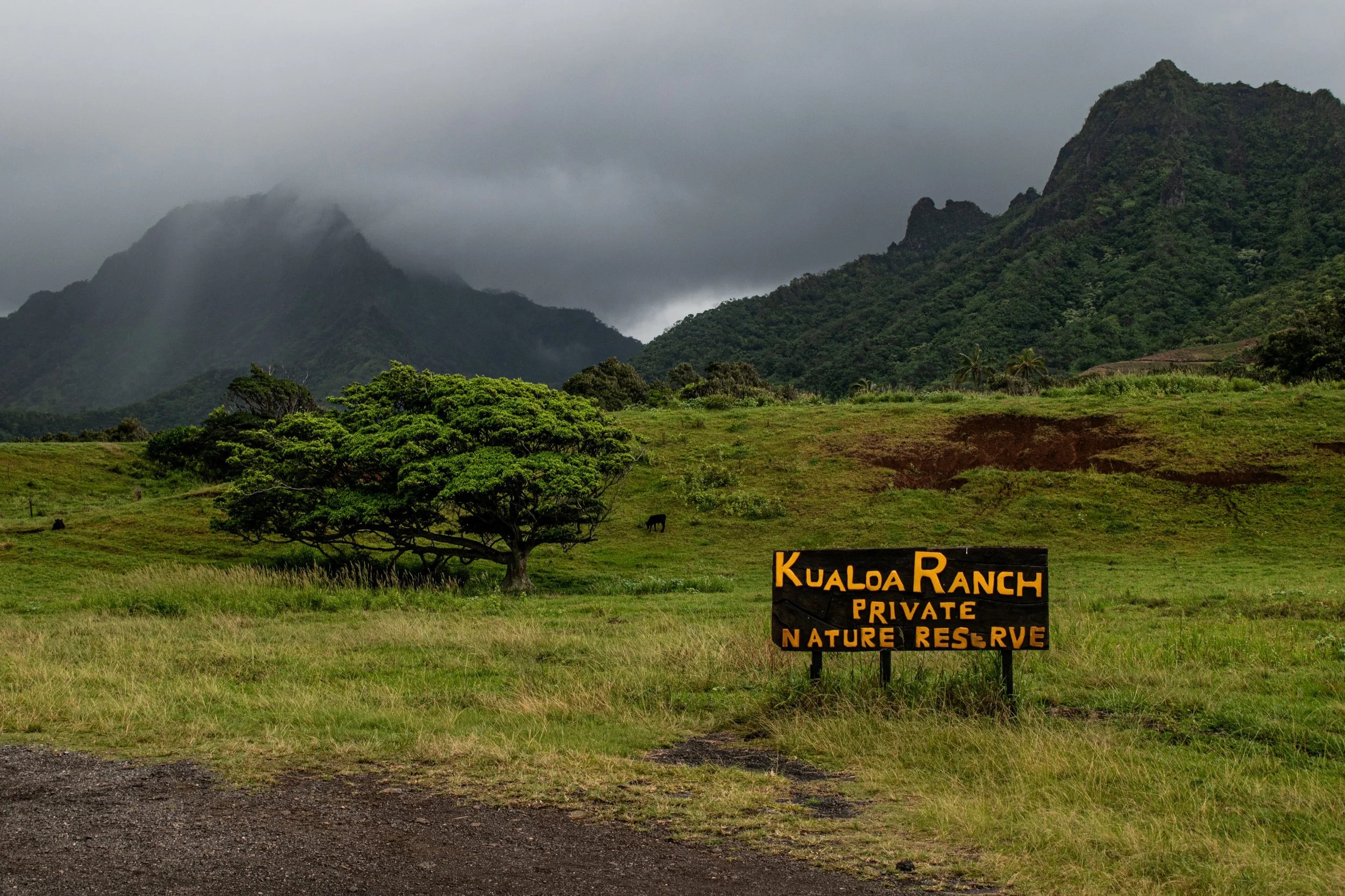 Kualoa Ranch sign in Hawaiian valley with misty green mountains behind