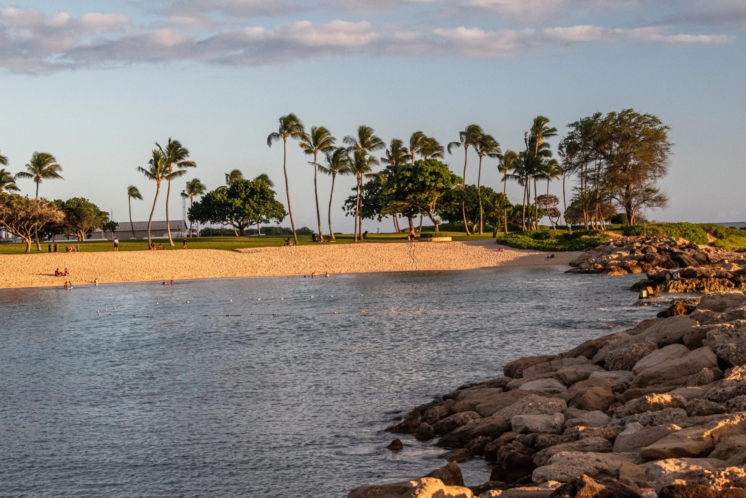 Hawaiian beach cove at golden hour with palm trees and rocky shore