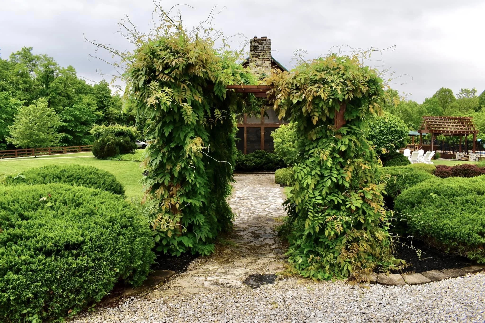 Ivy-covered stone arch in a manicured topiary garden