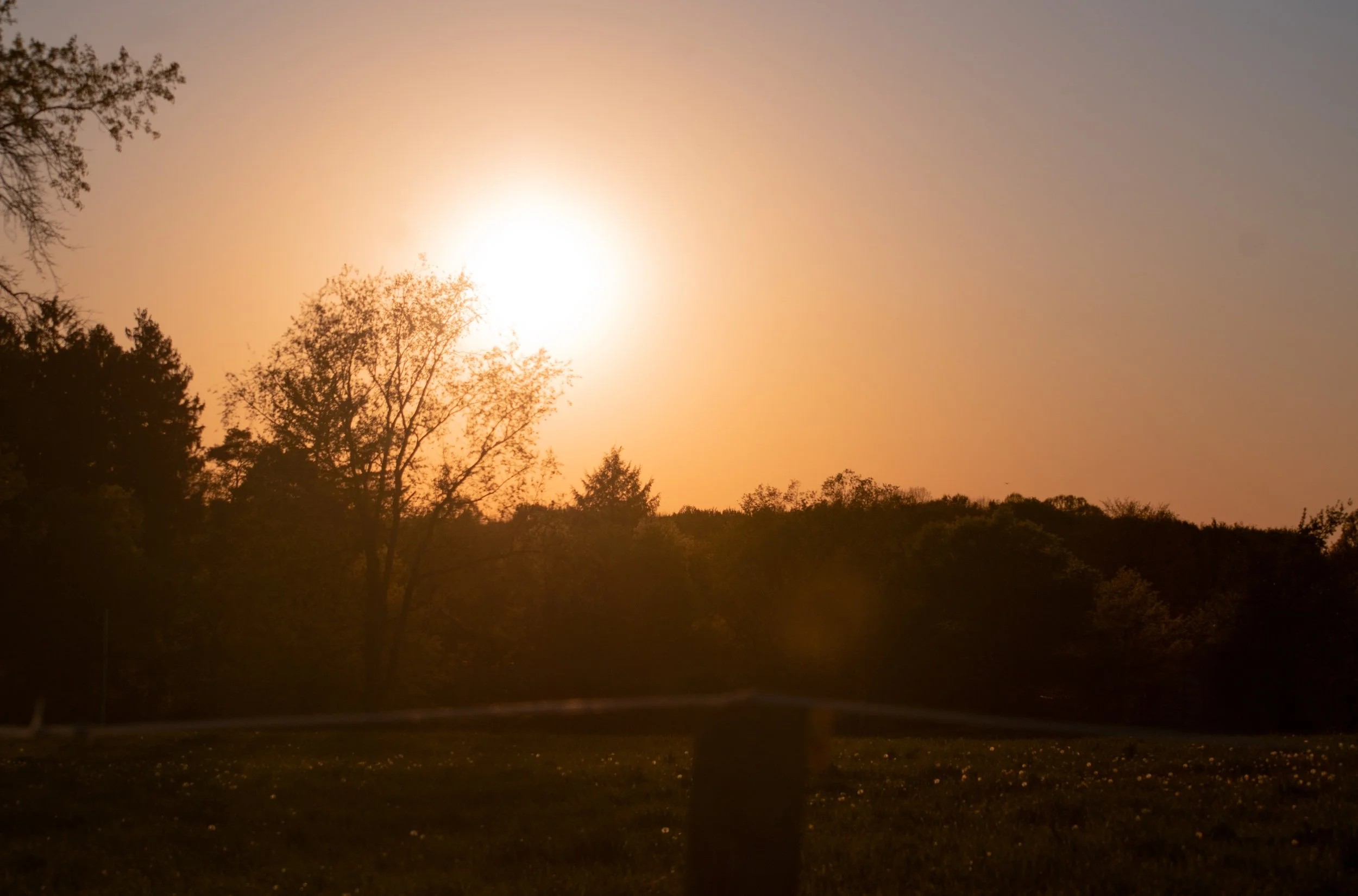 Documentary-style landscape